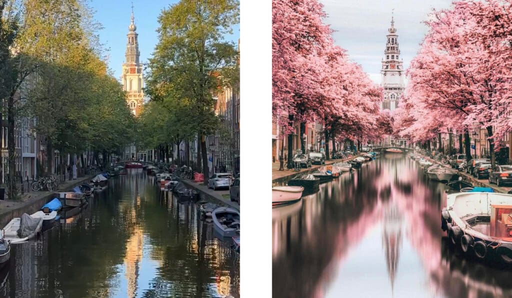 Zuiderkerk historic church in Amsterdam