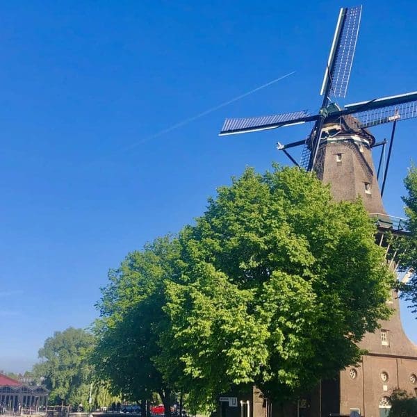 A traditional windmill stands behind green trees under a clear blue sky, with nearby buildings visible in the background.
