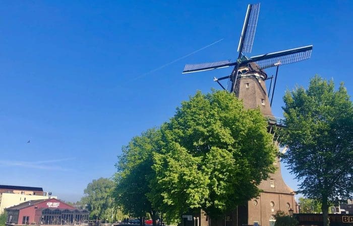 A traditional windmill stands behind green trees under a clear blue sky, with nearby buildings visible in the background.