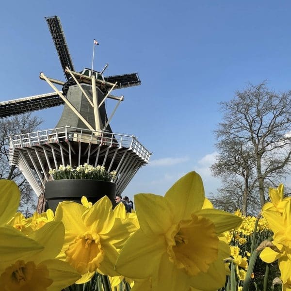 Private guided walking tour group exploring a historic Dutch city street in the Netherlands