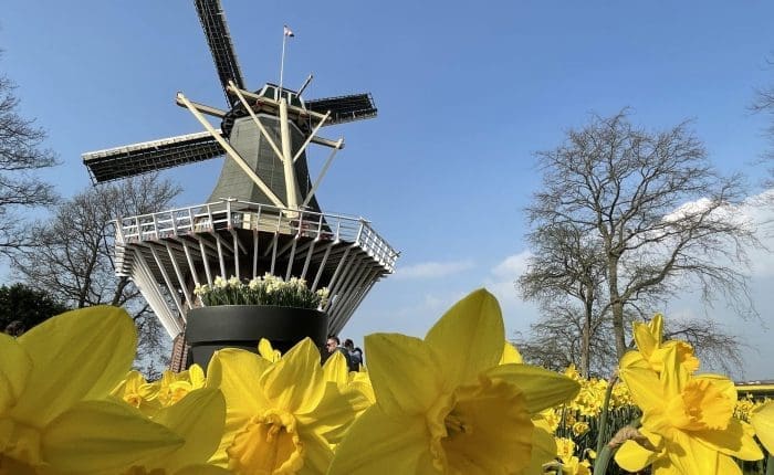 Private guided walking tour group exploring a historic Dutch city street in the Netherlands