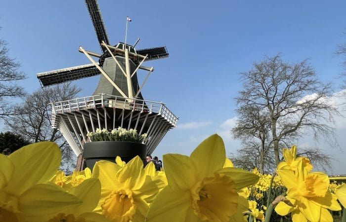 Private guided walking tour group exploring a historic Dutch city street in the Netherlands