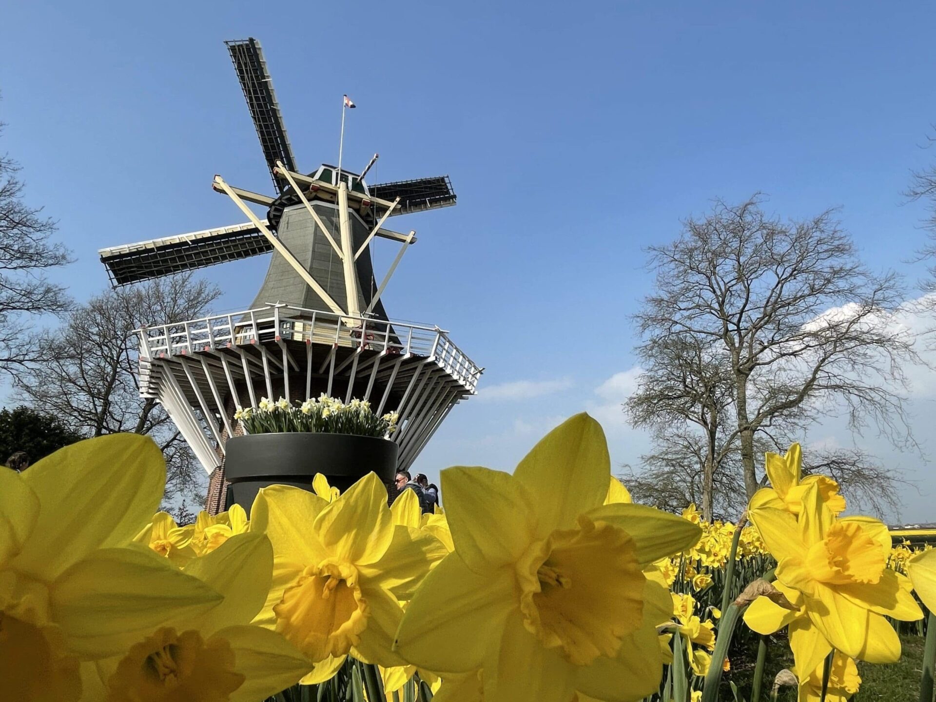 Private guided walking tour group exploring a historic Dutch city street in the Netherlands