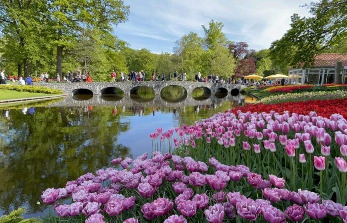 A garden scene at Keukenhof Gardens with pink tulips in the foreground, a pond with reflections, and a stone bridge with six arches in the background. People are walking across the bridge.