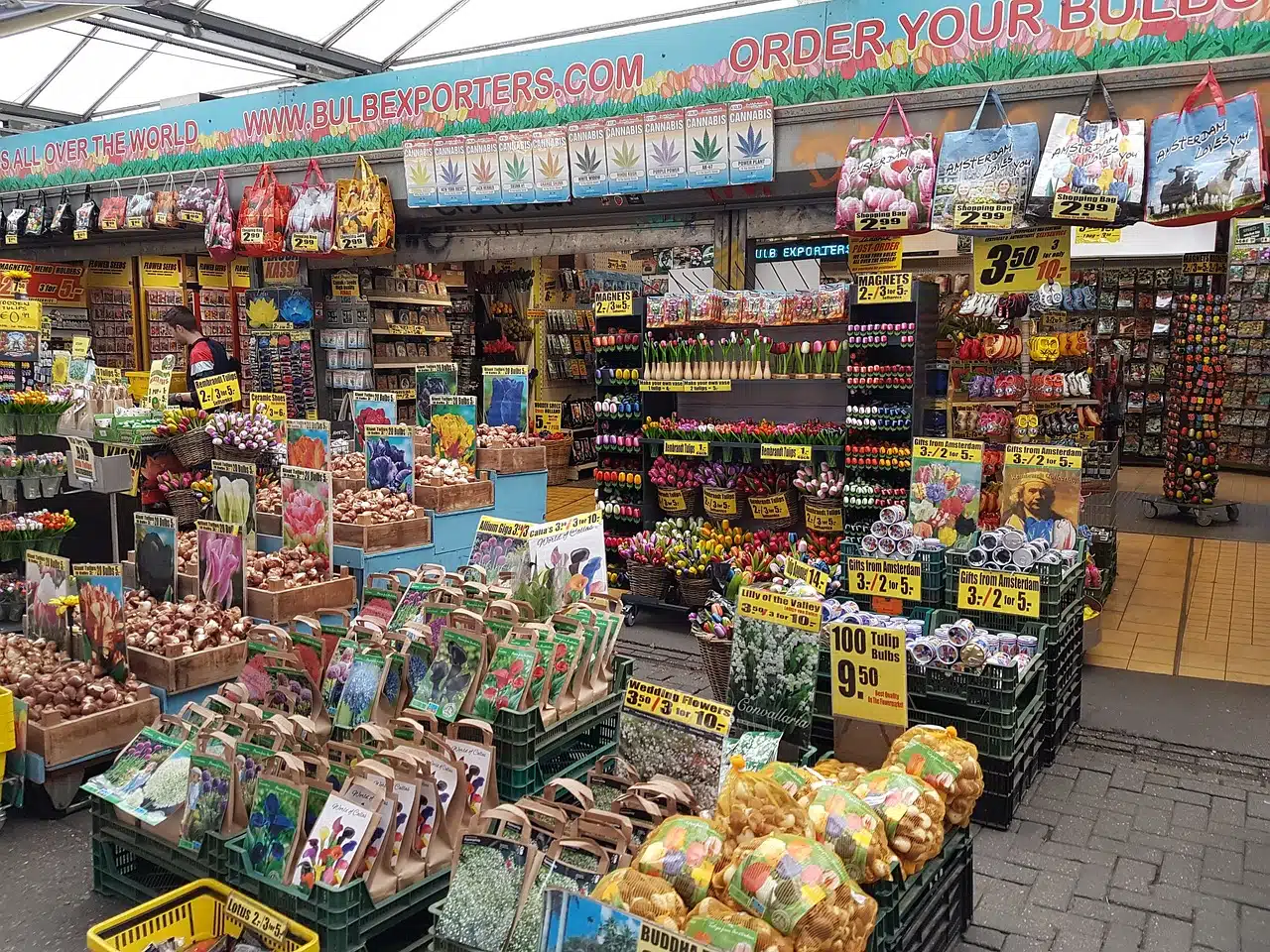 Amsterdam Flower Market Scams