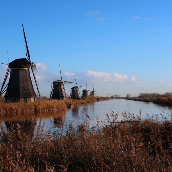 Traditional Dutch windmills reflected in a calm canal on a private guided tour in Holland