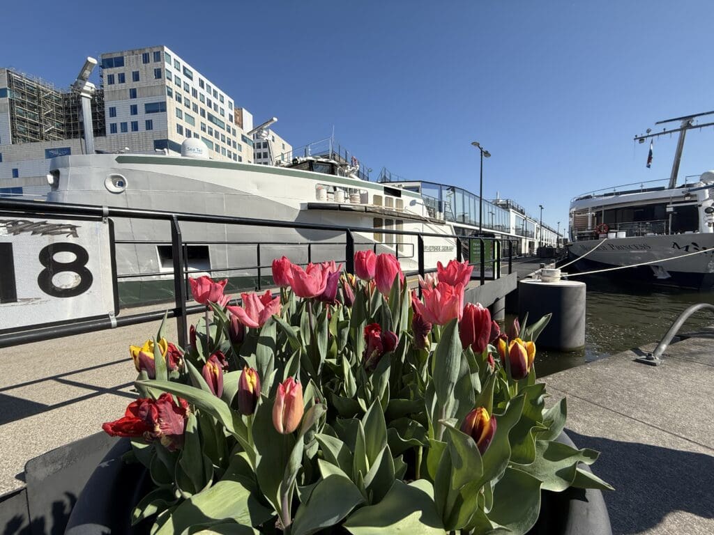Rivercruise ships at De Ruijterkade