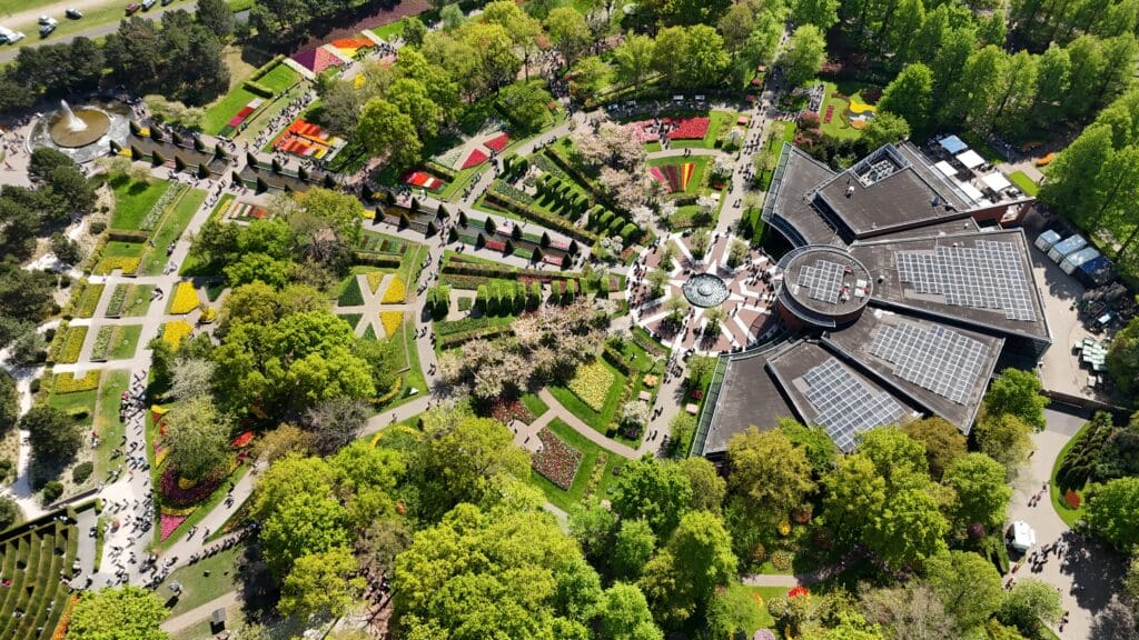 Aerial drone view of Keukenhof tulip gardens in bloom