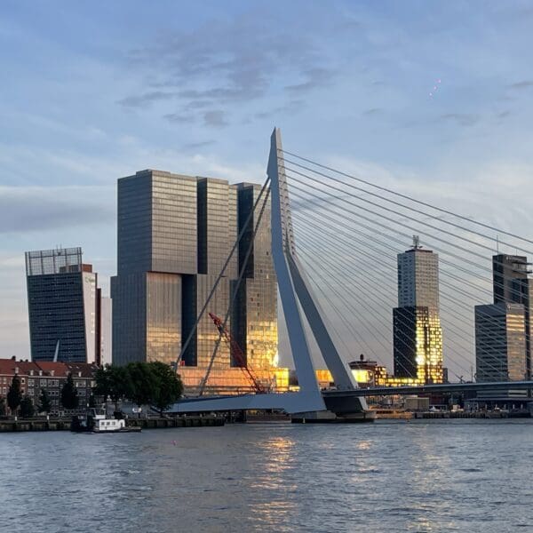 Erasmus bridge
