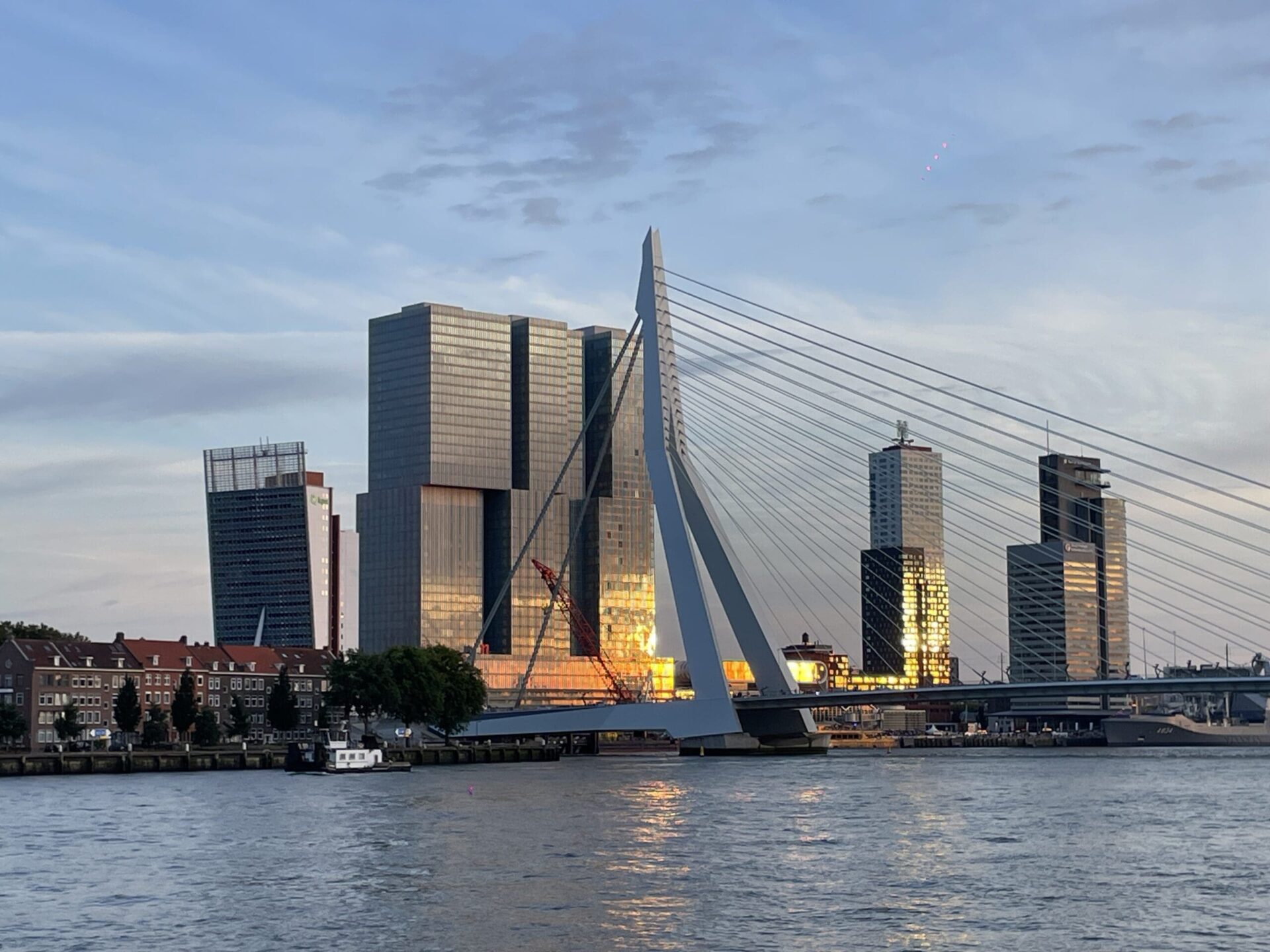 Erasmus bridge
