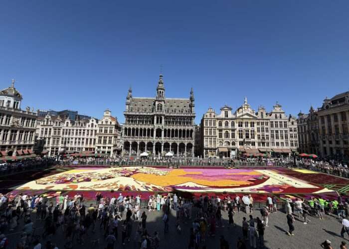 2026 Brussels Flower Carpet