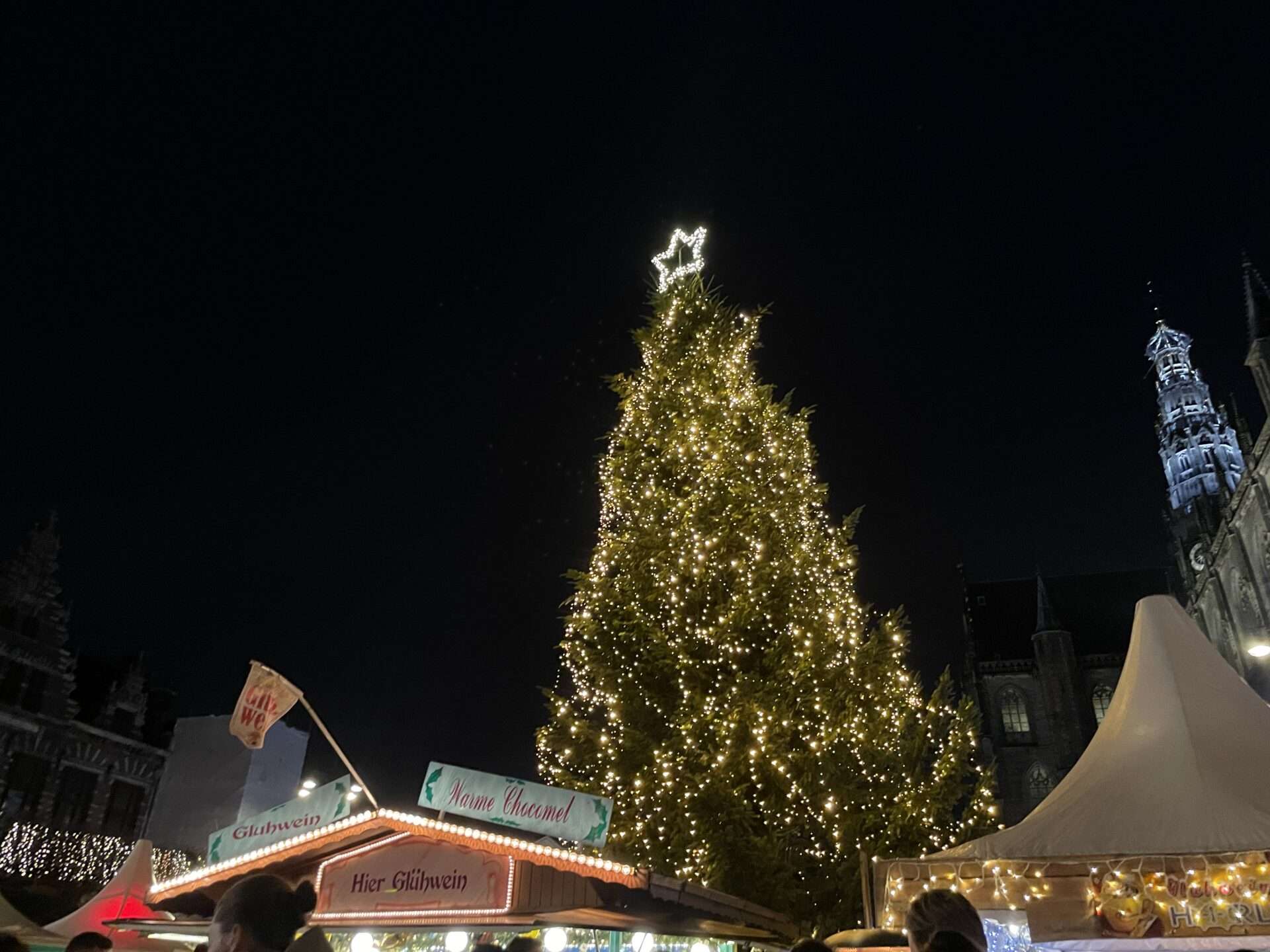 Grote Houtstraat, Haarlem, in snow with Christmas lights