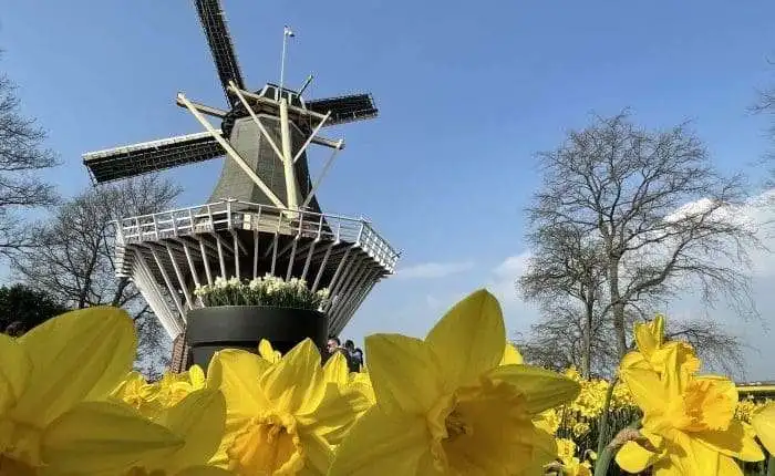 Private guided walking tour group exploring a historic Dutch city street in the Netherlands